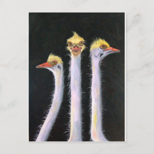 Postellen Briefkaart