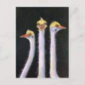 Postellen Briefkaart (Voorkant)