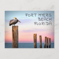 Posten en een Pelican | Fort Myers Beach, Florida