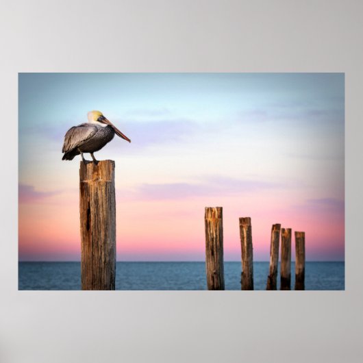 Posten en een Pelican | Fort Myers Beach, Florida Poster (Voorkant)