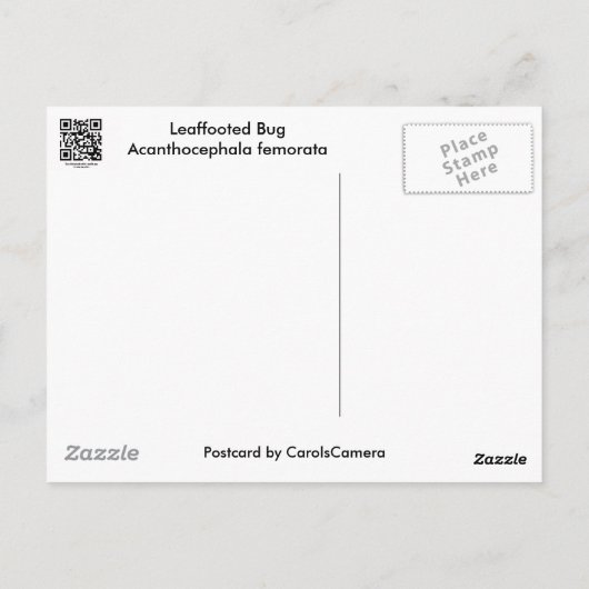Posten met bladeren (Acanthocephala fenorata) Briefkaart (Achterkant)