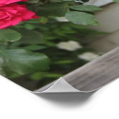 poster (Hoek)
