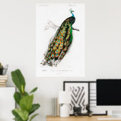 poster (Thuiskantoor)