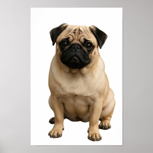 poster (Voorkant)