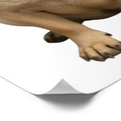 poster (Hoek)