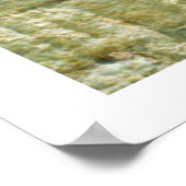 Poster (Hoek)