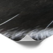 poster (Hoek)