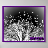 Poster (Voorkant)
