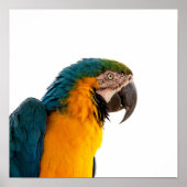 Poster (Voorkant)