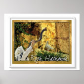 Poster (Voorkant)