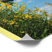 Poster (Hoek)