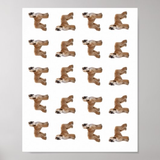 Poster (Voorkant)