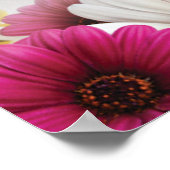 poster4 poster (Hoek)