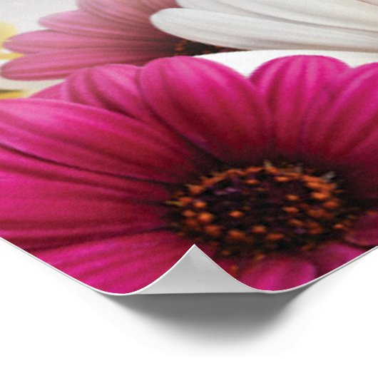 poster4 poster (Hoek)