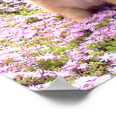 Poster 12x12 Pommeren Marley met roze bloemen (Hoek)