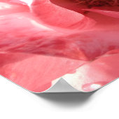 Poster 16 x 12 (Hoek)