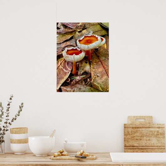 Poster 18 x 24 (Keuken)