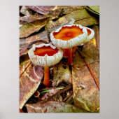 Poster 18 x 24 (Voorkant)