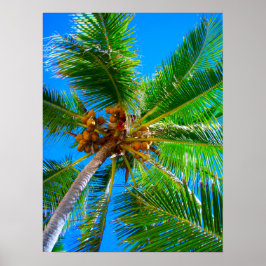 Poster (18 x 24 inch) palmboom Vanuatu