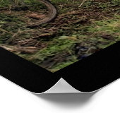 Poster (18 x 24 inch) Ubud Bike Bali (Hoek)