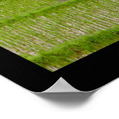 Poster (18" x 24") Rijstvelden Ubud Bali (Hoek)