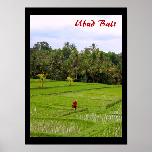 Poster (18" x 24") Rijstvelden Ubud Bali (Voorkant)