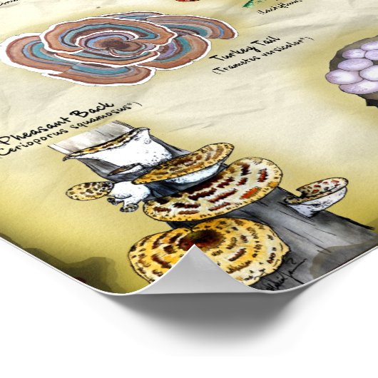 Poster 18x12 Paddenstoelen (eetbaar en medicinaal) (Hoek)