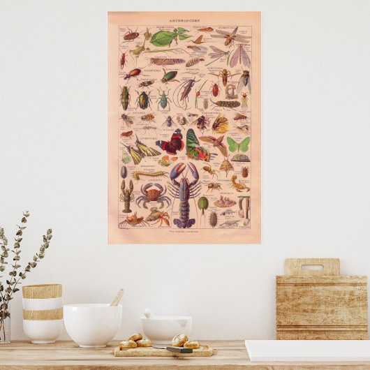  poster 1920 (Keuken)