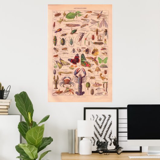  poster 1920 (Thuiskantoor)