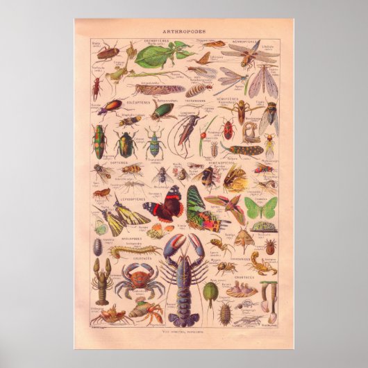  poster 1920 (Voorkant)