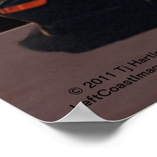 poster 1993 MR2 (Hoek)