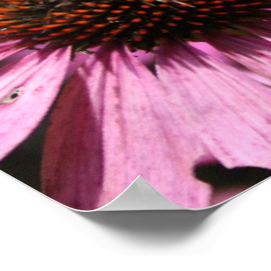 Poster 19x15 inch (Hoek)