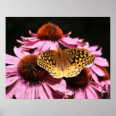 Poster 19x15 inch (Voorkant)