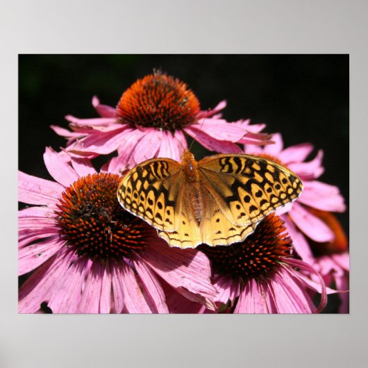 Poster 19x15 inch (Voorkant)