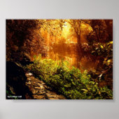 POSTER 1 - NATUUR (Voorkant)