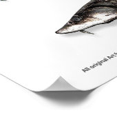 POSTER - 20x30 - STURGEON VAN AZIË (Hoek)