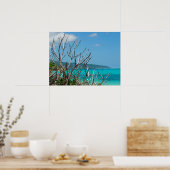 Poster (24 "x18") Water Sky Bomen Vanuatu (Keuken)