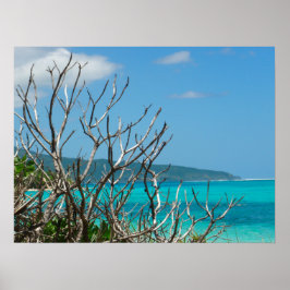 Poster (24 "x18") Water Sky Bomen Vanuatu