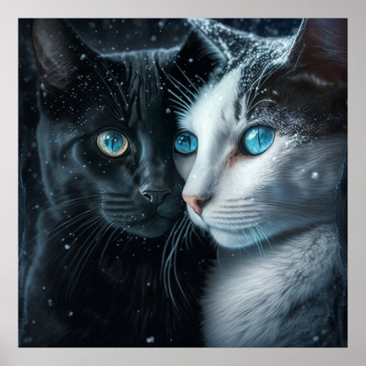 Poster 2 cat (Voorkant)