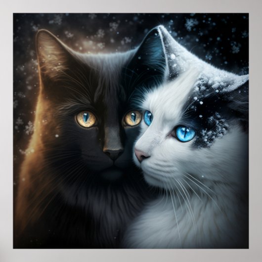 Poster 2 cat (Voorkant)