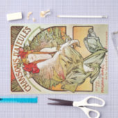 POSTER 2 TISSUEPAPIER (Craft)