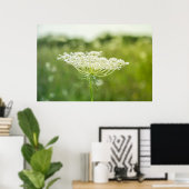 Poster 36 x 24 inch Natuur koningin Anne's Lace Fl (Thuiskantoor)