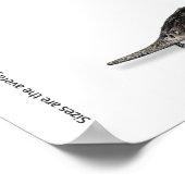 POSTER - 36x24 - STURGEON VAN EUROPA (Hoek)