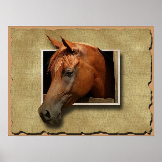 poster 3D-paarden (Voorkant)