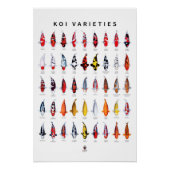 Poster 45 Soorten Koi (Voorkant)
