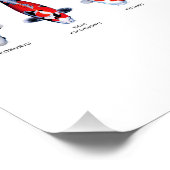 Poster 45 Soorten Koi (Hoek)
