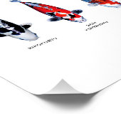 Poster 45 Soorten Koi (Hoek)