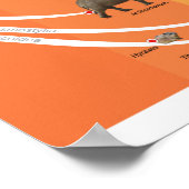 Poster A2 Evolutie van de Paenungulata (Hoek)