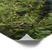 Poster aan de kust van Hawaï (Hoek)