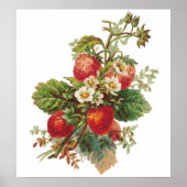  Poster aardbei Blooms (Voorkant)